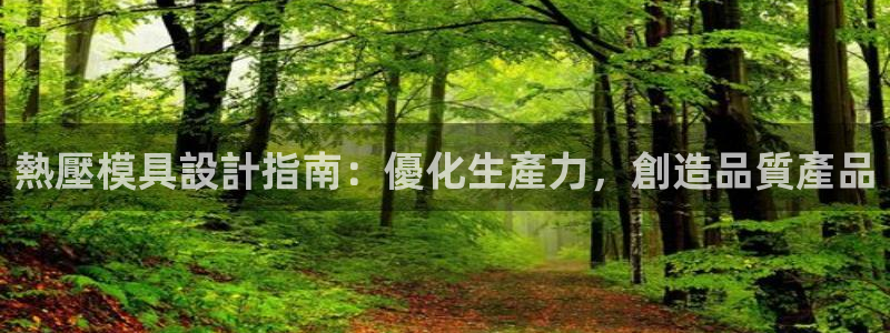 易倍电竞,有球必应：熱壓模具設計指南：優化生產力，創造品
