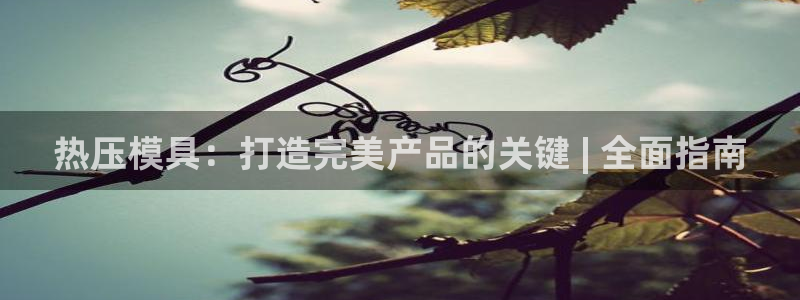 易倍申片能长期服用吗：热压模具：打造完美产品的关键 | 