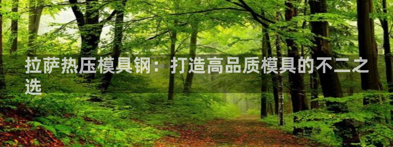 emc下载ios：拉萨热压模具钢：打造高品质模具的不二之