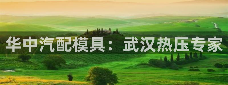 emc易倍：华中汽配模具：武汉热压专家