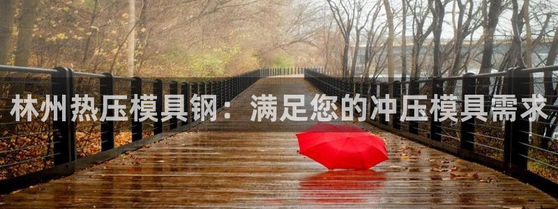 易倍单词平台：林州热压模具钢：满足您的冲压模具需求