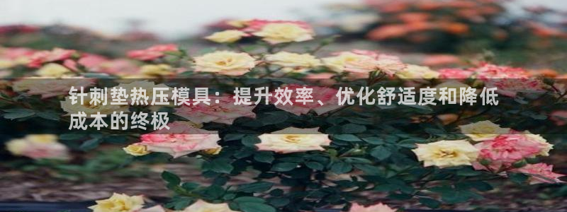 emc下载ios：针刺垫热压模具：提升效率、优化舒适度和