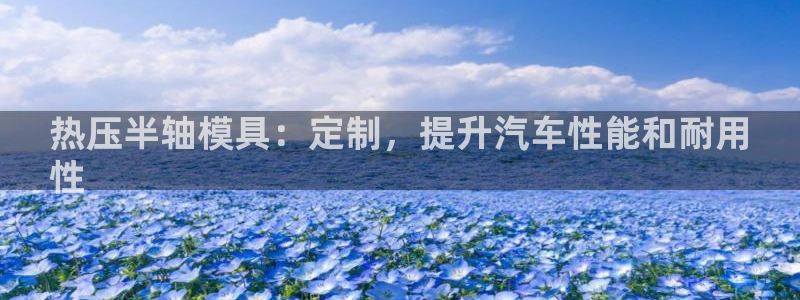 易倍申是进口药吗：热压半轴模具：定制，提升汽车性能和耐用