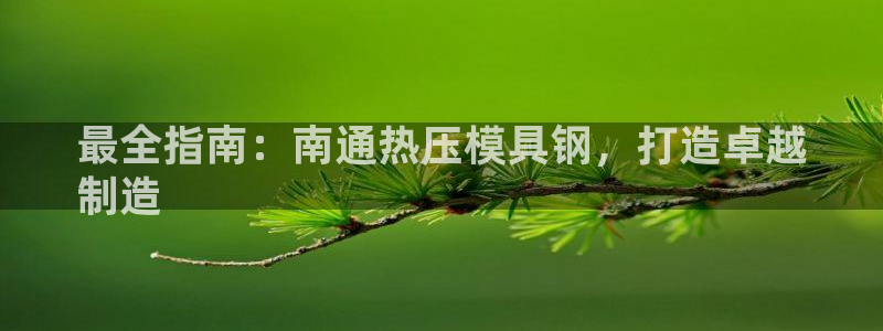 emc易倍平台：最全指南：南通热压模具钢，打造卓越
制造
