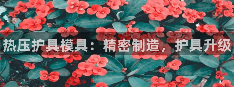 易倍康简历：热压护具模具：精密制造，护具升级