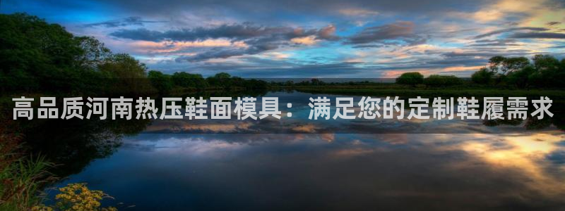 易倍达科技有限公司官网：高品质河南热压鞋面模具：满足您的