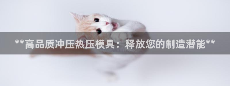 武汉易倍捷科技有限公司：**高品质冲压热压模具：释放您的