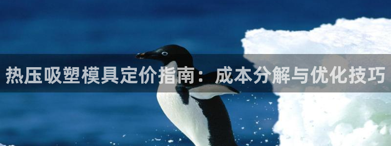 易倍电竞安装教程：热压吸塑模具定价指南：成本分解与优化技