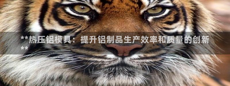 易倍纤减肥价格：**热压铝模具：提升铝制品生产效率和质量