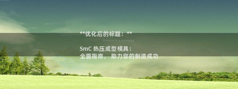 易倍申医保报销：**优化后的标题：**

SmC 热压成