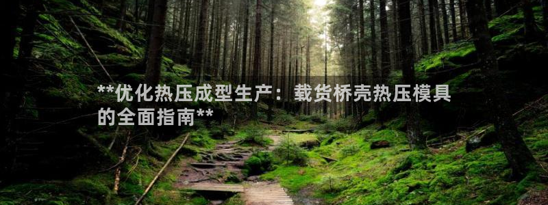 emc易倍官网：**优化热压成型生产：载货桥壳热压模具

