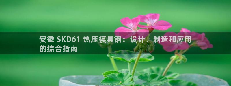 emc易倍登录：安徽 SKD61 热压模具钢：设计、制造