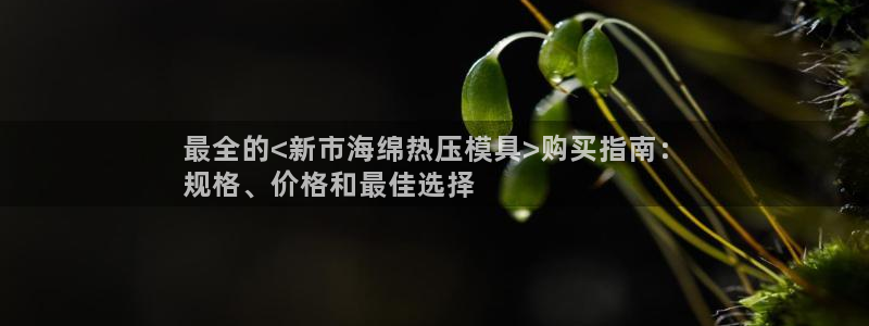 易倍网络技术有限公司招聘：最全的<新市海绵热压模具>购买