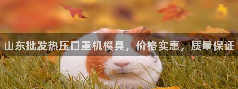 EMC易倍官方平台：山东批发热压口罩机模具，价格实惠，质