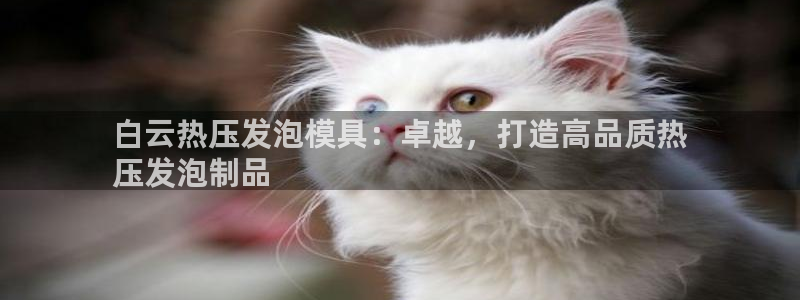 emc易倍的服务优势：白云热压发泡模具：卓越，打造高品质