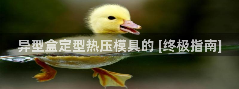 易倍申和易倍清的区别：异型盒定型热压模具的 [终极指南]