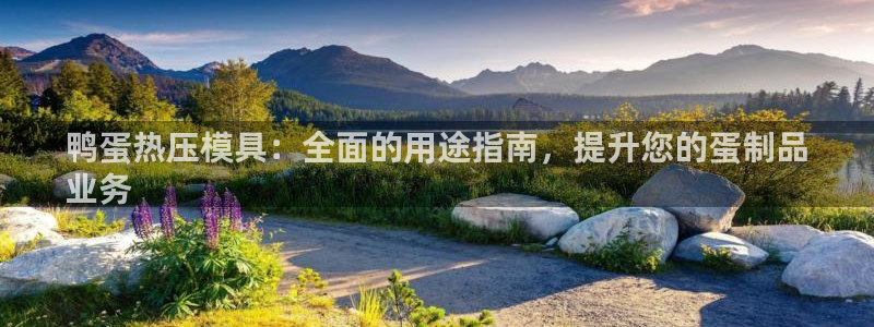 易倍达科技有限公司官网：鸭蛋热压模具：全面的用途指南，提