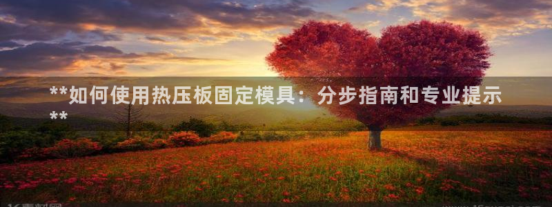 易倍单词app：**如何使用热压板固定模具：分步指南和专