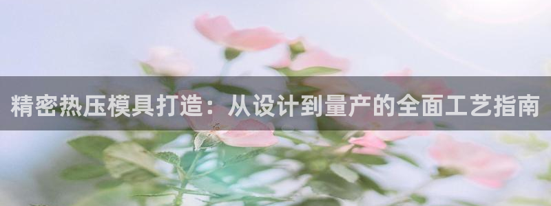 易倍申医保报销：精密热压模具打造：从设计到量产的全面工艺