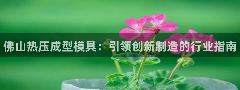 易倍申和易倍清的区别