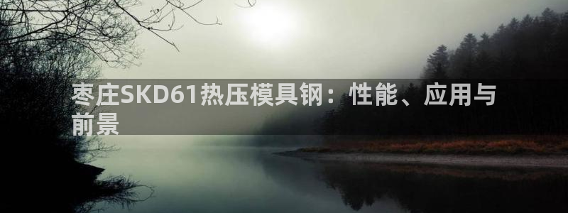 武汉易倍捷科技有限公司：枣庄SKD61热压模具钢：性能、