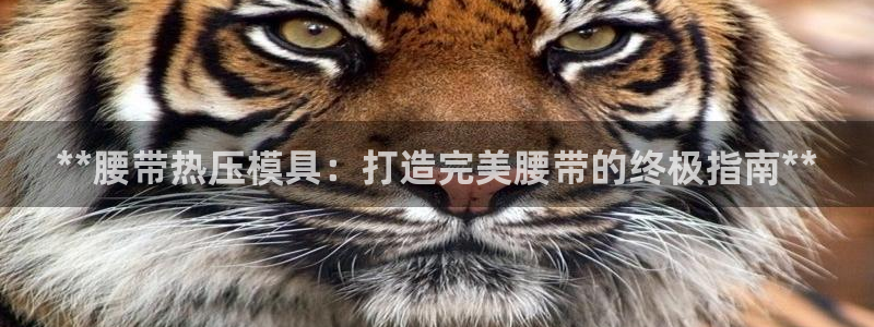 emc参数：**腰带热压模具：打造完美腰带的终极指南**