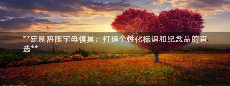 易倍app网站：**定制热压字母模具：打造个性化标识和纪