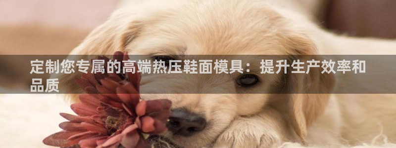 易倍达怎么样