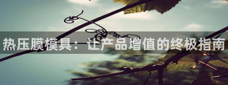 emc易倍全站：热压膜模具：让产品增值的终极指南