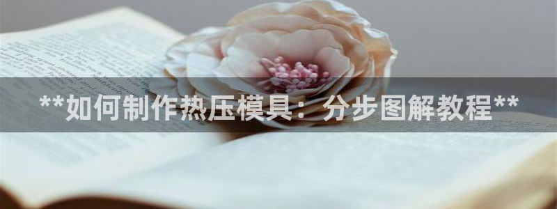 emc易倍是黑台子吗：**如何制作热压模具：分步图解教程