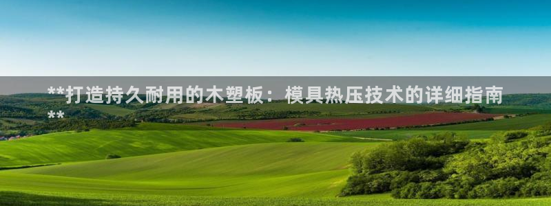 易倍电竞：**打造持久耐用的木塑板：模具热压技术的详细指