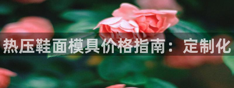 易倍达科技有限公司官网