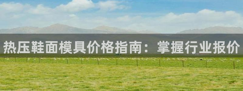 易倍网络技术有限公司招聘：热压鞋面模具价格指南：掌握行业