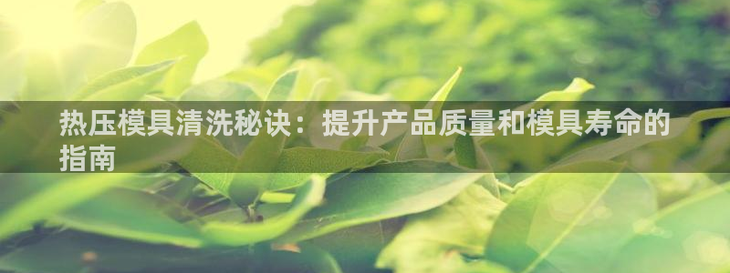 杭州易倍达科技有限公司怎么样：热压模具清洗秘诀：提升产品