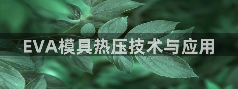 易倍申价格