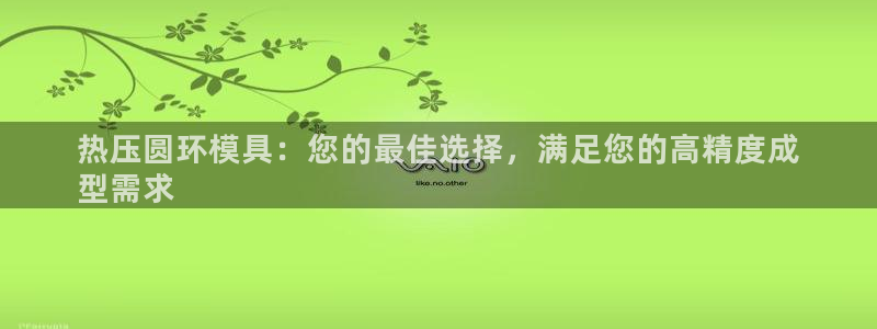 易倍单词官方网站下载安卓：热压圆环模具：您的最佳选择，满