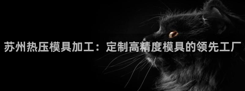 易倍企业管理软件怎么样：苏州热压模具加工：定制高精度模具