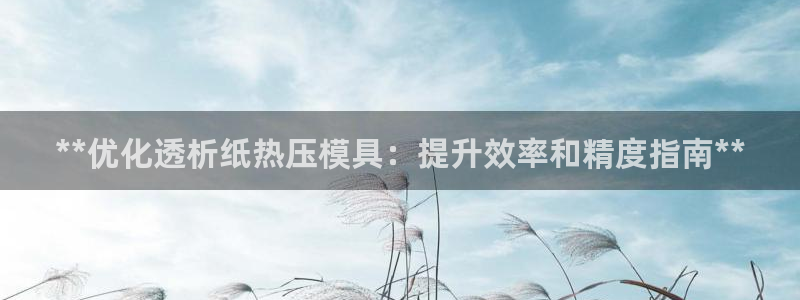 emc全站网页版：**优化透析纸热压模具：提升效率和精度