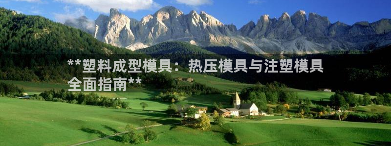 emc易倍官方平：**塑料成型模具：热压模具与注塑模具
