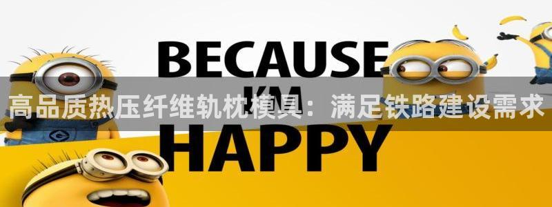 emc 倍频：高品质热压纤维轨枕模具：满足铁路建设需求
