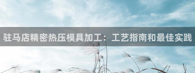 易倍申多少钱一盒：驻马店精密热压模具加工：工艺指南和最佳