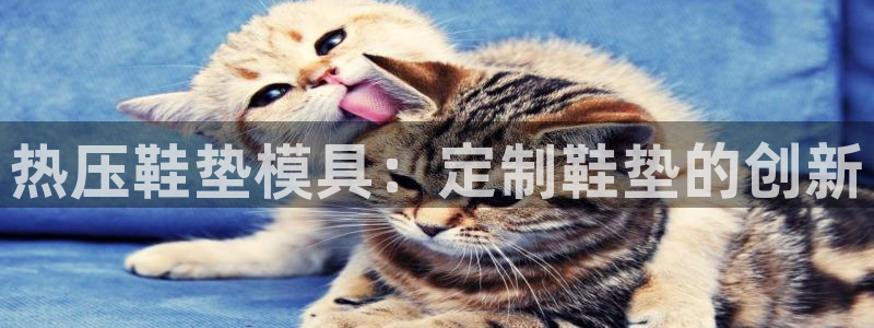 易倍emc网址：热压鞋垫模具：定制鞋垫的创新