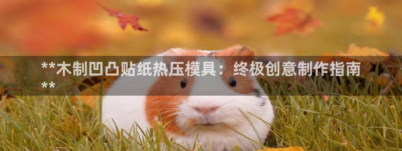 emc易倍ios官网：**木制凹凸贴纸热压模具：终极创意