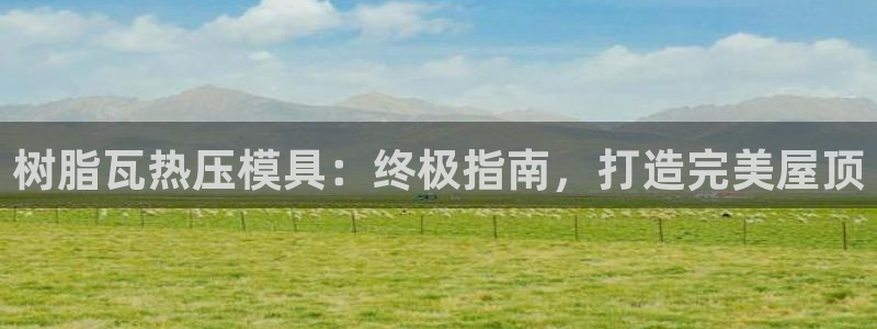 易倍申的副作用：树脂瓦热压模具：终极指南，打造完美屋顶