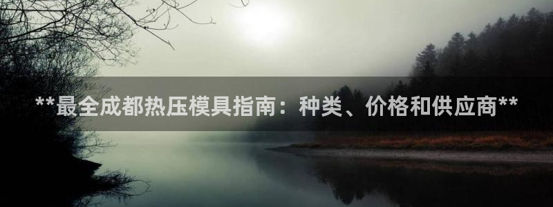 易倍纤官网：**最全成都热压模具指南：种类、价格和供应商