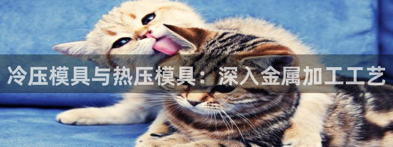emc易倍官网app官网：冷压模具与热压模具：深入金属加
