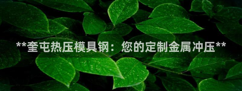 emc易倍在线登录：**奎屯热压模具钢：您的定制金属冲压