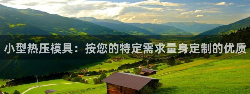 emc易倍黑吗：小型热压模具：按您的特定需求量身定制的优