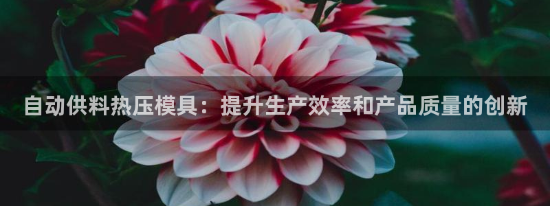 易倍单词app下载：自动供料热压模具：提升生产效率和产品