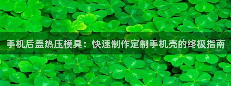 emc易倍下载：手机后盖热压模具：快速制作定制手机壳的终